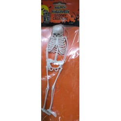 Scheletro halloween da...