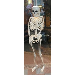Scheletro halloween da appendere