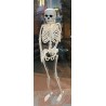 Scheletro halloween da appendere